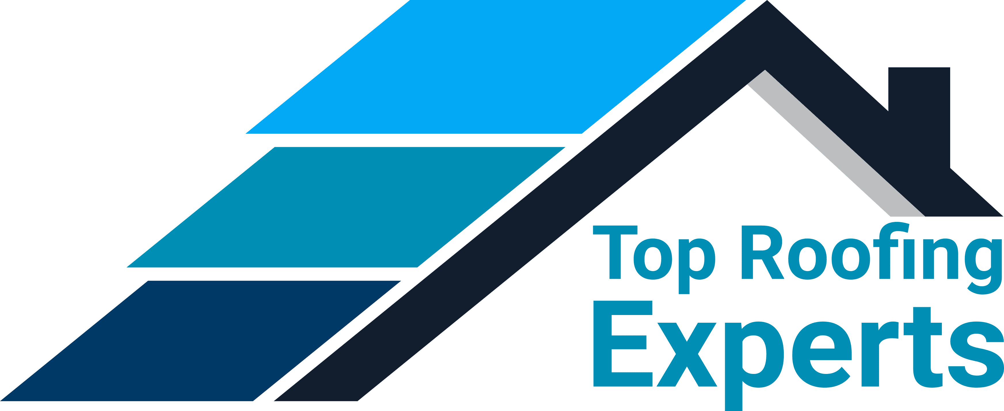 Top Roofing Expert Logo